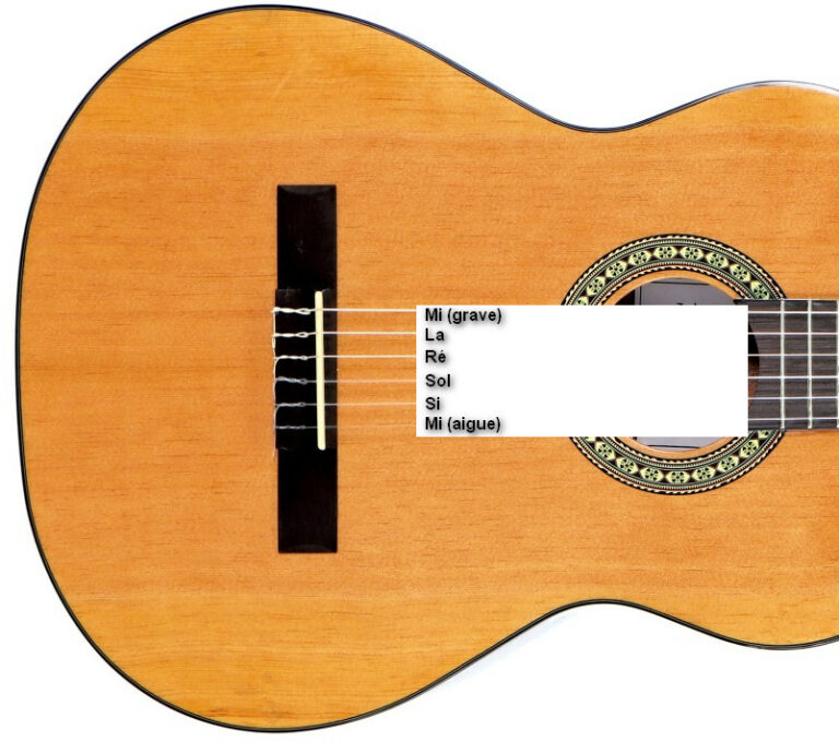 Quels sont les noms et notes des cordes de guitare L