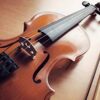 Violon adulte